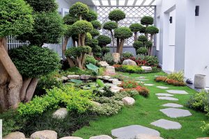 Thiết kế thi công sân vườn ở Phan Thiết